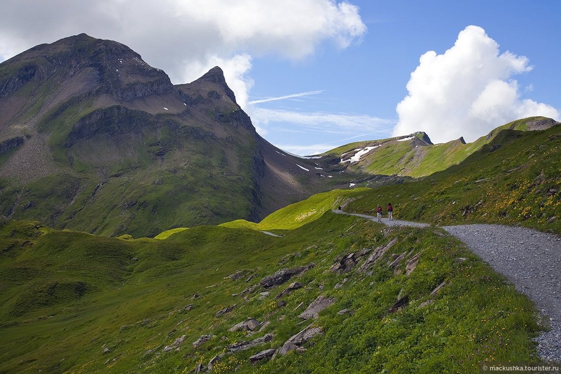First, Grindelwald